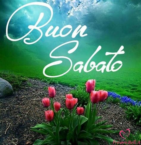 pinterest buon sabato